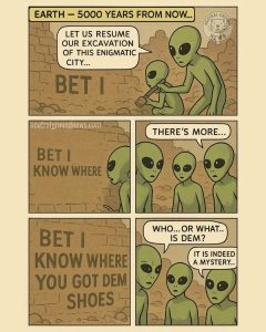 Stupid Bar Memes 42189576644sn