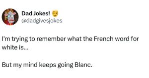 Stupid Bar Memes a0eyVqZss