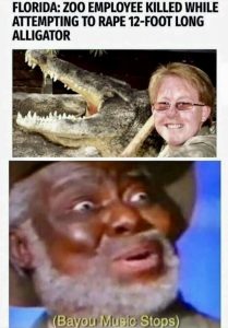 Stupid Bar Memes a1m6yX6ss