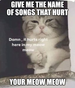 Stupid Bar Memes a5Q05WOss