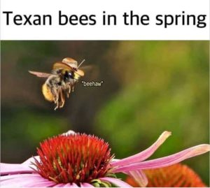 Stupid Bar Memes a5Q0K7Vss