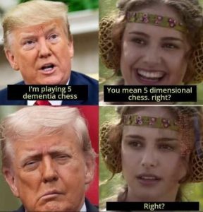 Stupid Bar Memes a6ZY778 s