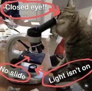 Stupid Bar Memes a6ZYnYbss