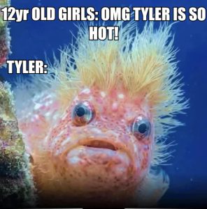 Stupid Bar Memes a87gPPpss
