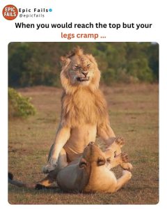 Stupid Bar Memes aAyzxbZss