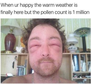 Stupid Bar Memes aByebN1ss