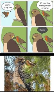Stupid Bar Memes aE0mpz9ss