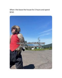 Stupid Bar Memes aGy4LYXss