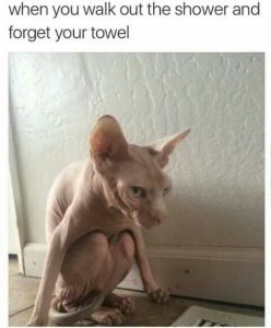 Stupid Bar Memes aGyQrNZss
