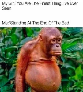 Stupid Bar Memes aKGoGNjss