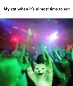 Stupid Bar Memes aRBpGY7ss