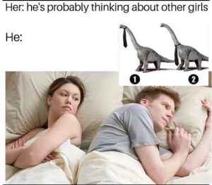 Stupid Bar Memes aVvy388ss