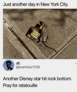 Stupid Bar Memes aVvyPPO s