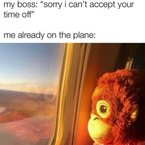 Stupid Bar Memes aYQXpXv s