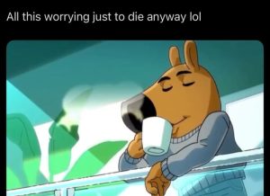Stupid Bar Memes adBzA5Bss