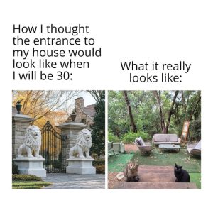 Stupid Bar Memes ae9BEVBss