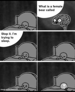 Stupid Bar Memes agmzBLxss
