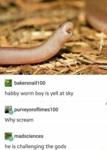 Stupid Bar Memes ajP4vNGss