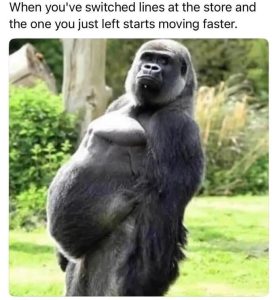 Stupid Bar Memes an7PGPqss