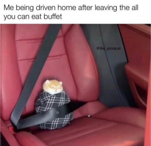 Stupid Bar Memes an7oZBVss
