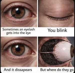 Stupid Bar Memes apRZKMDss