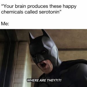Stupid Bar Memes aryL7nyss