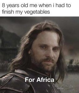 Stupid Bar Memes avyKnDW s