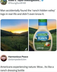 Stupid Bar Memes axyqDWY s