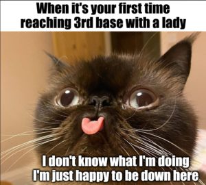 Stupid Bar Memes azx3ypZss