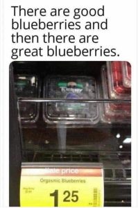 Stupid Bar Memes c4b5d29b560