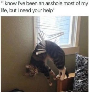 Stupid Bar Memes edshelp