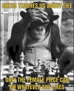 Stupid Bar Memes i44932810
