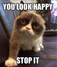 Stupid Bar Memes i51594