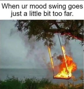 Stupid Bar Memes i82368617