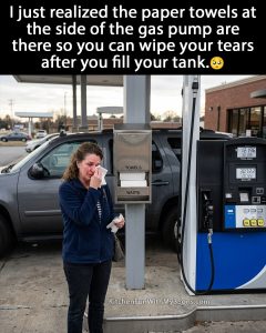 Stupid Bar Memes i83316358