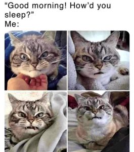Stupid Bar Memes im349235