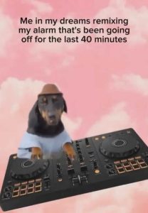 Stupid Bar Memes im45790983