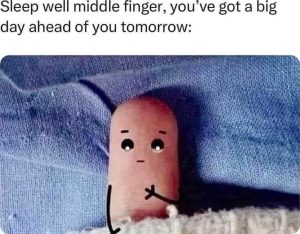 Stupid Bar Memes im7303175