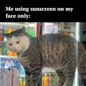 Stupid Bar Memes im73737