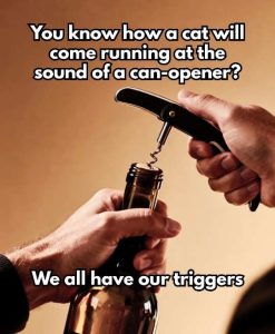Stupid Bar Memes im8816892