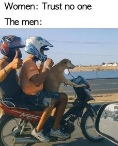 Stupid Bar Memes im954061
