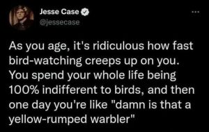 Stupid Bar Memes ima602405