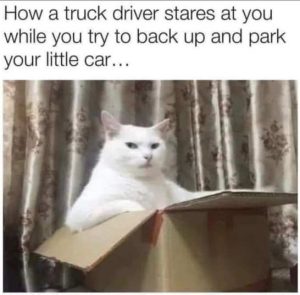 Stupid Bar Memes imag1295