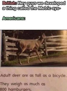 Stupid Bar Memes imag1927885