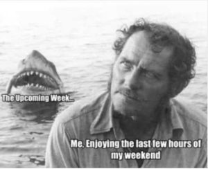 Stupid Bar Memes imag918625