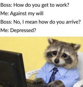Stupid Bar Memes imag95643