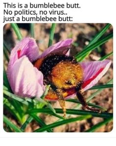 Stupid Bar Memes m0970447