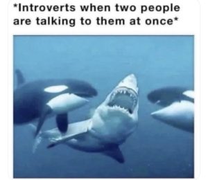 Stupid Bar Memes s043868