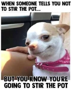 Stupid Bar Memes sg016321