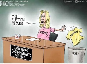 Stupid Bar Memes spanberger